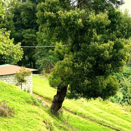 Maruti Villa Kodaikanal Exterior photo